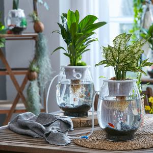 아큐팟 실내 공기정화식물 인테리어 수경재배 화분 어항