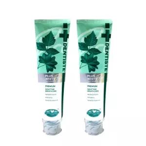 덴티스테 플러스 화이트 프로 (불소 1000ppm) 치약 160g x2개