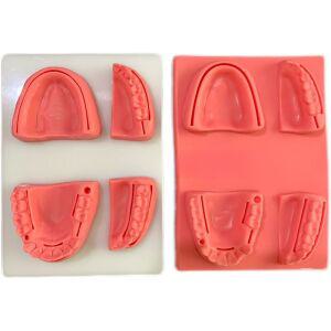 잇몸 봉합 훈련 치과 실리콘 구강 연습 모델 치아모형 치대생 실습