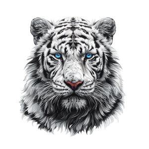 호랑이스티커 백호대형4종 기스커버 화물차 캠핑카 포인트 투명스티커