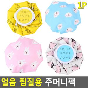 물샘방지얼음주머니팩 병원냉찜질팩 결로방지 여름골프