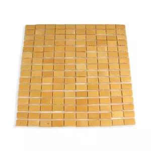 대나무방석대나무 (WFGU64Y)