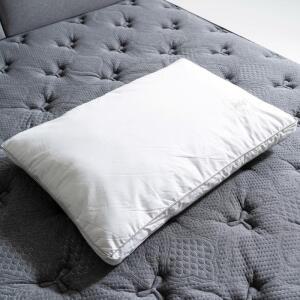 씰리 폴리 베개 2P 코스트코 마켓송지