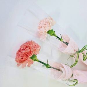 2개세트 생화한송이 카네이션 장미 꽃 한송이 포장 꽃배달싼곳 어버이날 선물