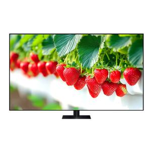 삼성전자 QLED TV KQ65QD75AFXKR 스탠드형 이너스