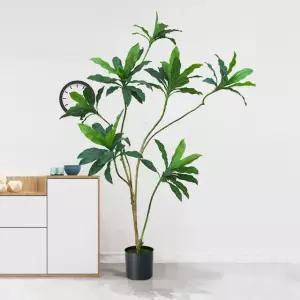 200cm 조화 행운목 (WFHJI01)