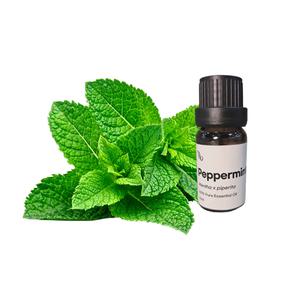 페퍼민트에센셜오일 10ml - 셀아로마