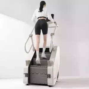 이고진 리얼클라임 스텝밀 머신 천국의계단 스텝퍼 가정용 계단 오르기