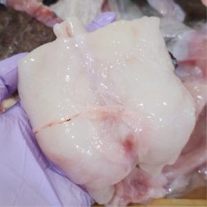 국내산 손질 아귀 아구 3kg