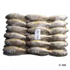 냉동 업소용 참조기 봉화 31-33미 3.5kg