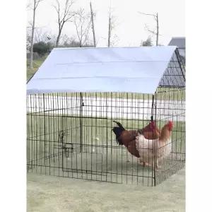 닭집 병아리집 조류 새장 하우스 견사 철망