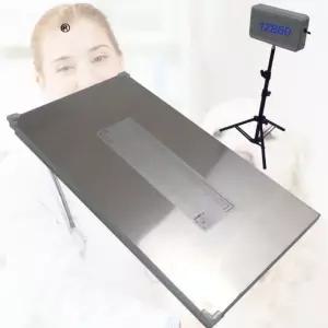 디지털 저울 대형견 바베큐 전자 테이블 고양이 체중계