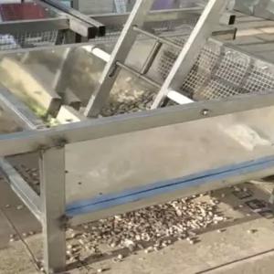 수동 탈곡기 땅콩 껍질벗기는 박피기 제거기 탈피기 수확 껍질까는