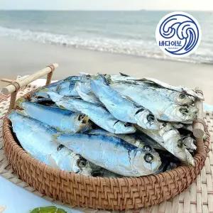 국산 디포리 1kg 상급 건디포리 밴댕이 국물용멸치