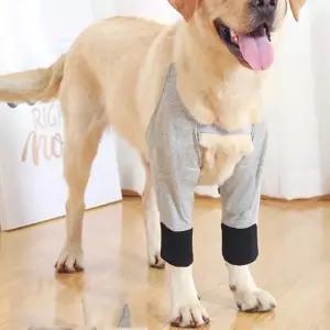 강아지 다리 보호대 애견 무릎 보호기 앞다리 2XL 아기 보호용품