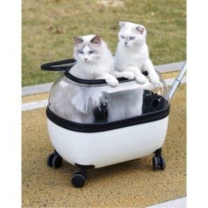 방석 투명 애완견 다둥이 조끼 유모차 중형견 봄과 강아지 고양이 방지 벨로 소형견