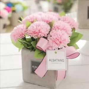 카네이션 꽃 비누 감사 선물 졸업식 어버이 화분
