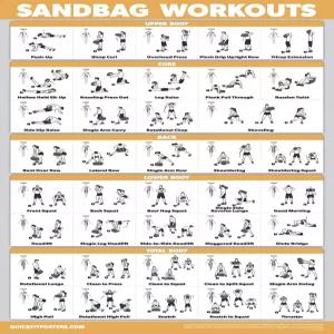 퀵핏 샌드백 운동 포스터 라미네이트 훈련 차트 18인치 x 24인치