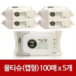 캡형 하늘선물 물티슈 100매x 5개 휴대형 유아 아기 건티슈 출산