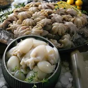 한농식 손질 쭈꾸미 갑오징어 10팩