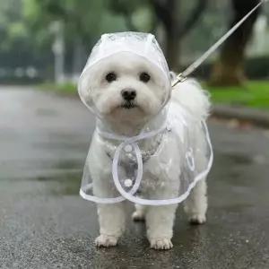 방풍 우비 비옷 레인코트 반려견 투명 산책용 강아지 방수