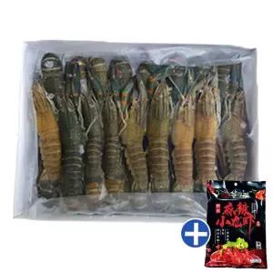 냉동크레이피시 마라롱샤 냉동민물가재 마라소스포함 1kg(25미이상)