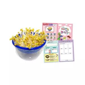 나만의미니텃밭 어린이집 모종심기 콩나물키우기(관찰카드포함) 자연과학