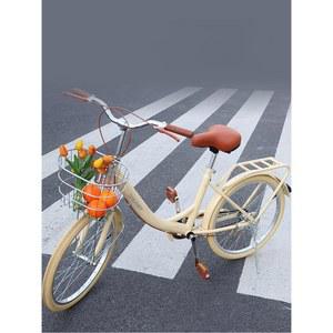 클래식 여성용 자전거 나들이 20인치 RALEIGH 빈티지 블랙 운동