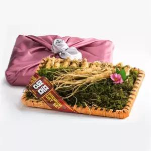 명절선물 최고급 수삼 10뿌리 금산 원수삼 선물세트 인삼 삼