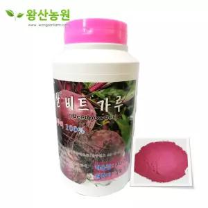 비트가루300g 초미세분말 (직접재배유기농인증)