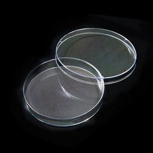 [오피스스쿨] 샤알레 (1봉 15개입) 패트리접시 패트리디쉬 샬레