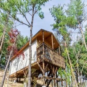 [강원 호텔] 주성리조트 파인포레스트 (속초,고성)