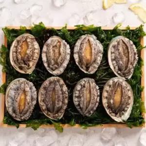 산지직송 해남 전복 대 1kg(9-10미)/선물포장