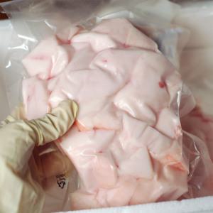 (냉동)퀸미트 돼지비계 A지방 돼지지방 / 깍둑썰기