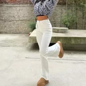 [하프클럽/옷자락]여자 피치기모 슬림핏 부츠컷 겨울크림팬츠 백 바지