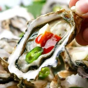 제철 세척 석화(각굴) 개체굴 3kg (17~25미 내외)