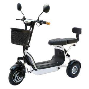 세발 전기 자전거 스쿠터 삼륜 어르신 접이식 2인승 인용 렌탈 노인 세발전기자전거