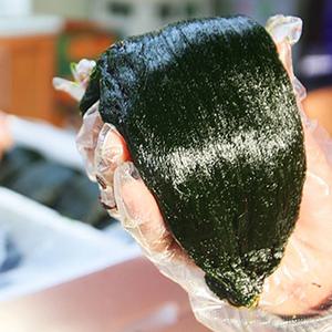 바다내음 가득한 청정완도 매생이(냉동) 350g x 5재기