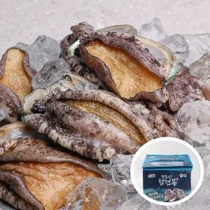 산지직송 청정 완도군 노화도 전복 선물세트 1kg 14-16미