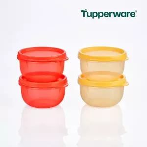 타파웨어 피콜로보울(4) 레드골드