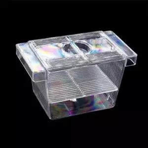 구피 부화통 치어 열대어 어항 수조 (WFK77K4)