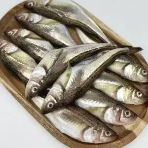 급냉 알도루묵 1팩 450g~550g 내외(5~7미 내외)