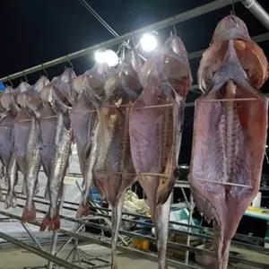 건담농수산 거제 외포 말린 반건조 손질 건대구 특대사이즈