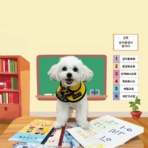 옐레드 서초교대역점 애견유치원 애견호텔 이용권