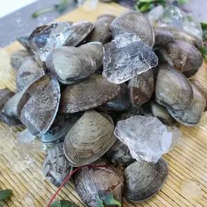 [산지직송] 여수 바지락 1kg