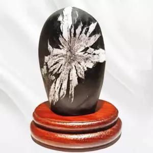 관상용 수석 천연석 돌 국화석 꽃 선물 수집품 스타일 장식용 스톤