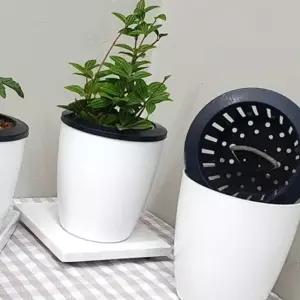 실내 식물 원형 저면관수 화분 중형 아파트 인테리어 (WFK6B4C)