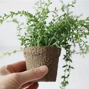 미니 식물 화분 콩난 인테리어 소품 공중 정원 조화 액세서리 (WFK79XO)