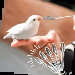 간식먹이 앵무새 이유식 먹이 숟가락 5개입 간식 스푼 새용품