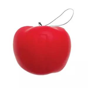 뉴턴 중력 이론 이해 1뉴턴 102g 무게 사과 모형 제품 연구실 두뇌발달 창의적활동